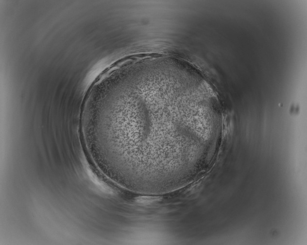 X0000113200051200909241409