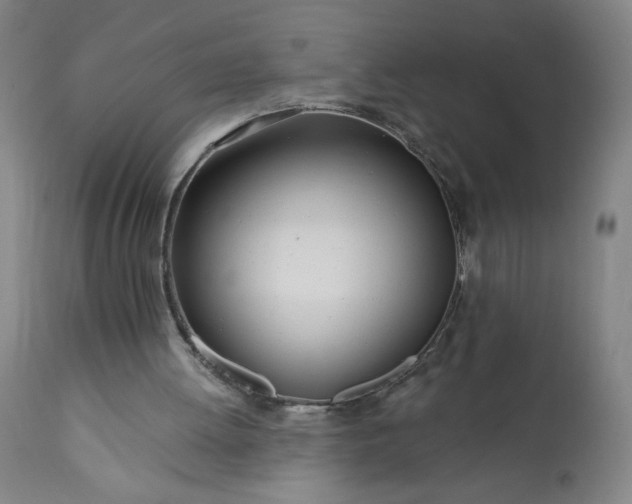 X0000113200052200909241409