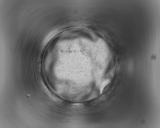 X0000113200053200909241409