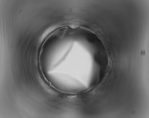 X0000113200054200909241409