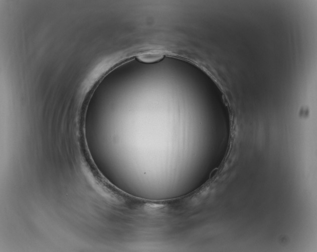 X0000113200055200909241409