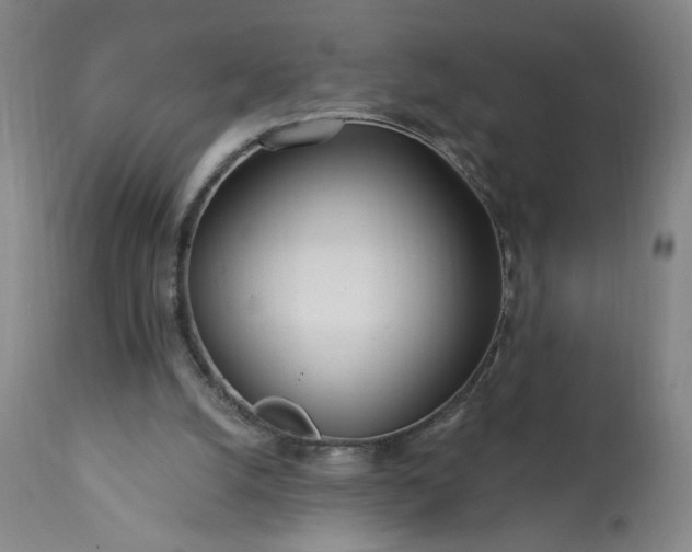 X0000113200056200909241409