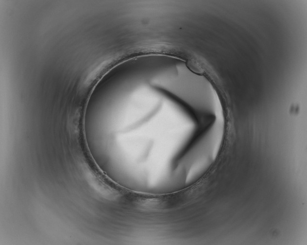 X0000113200058200909241409