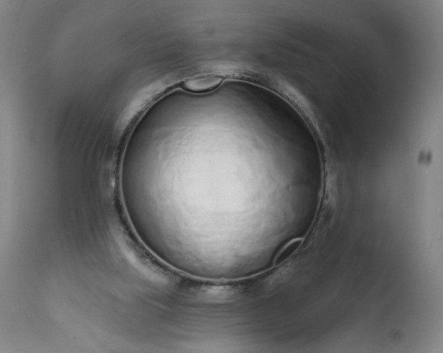 X0000113200059200909241409