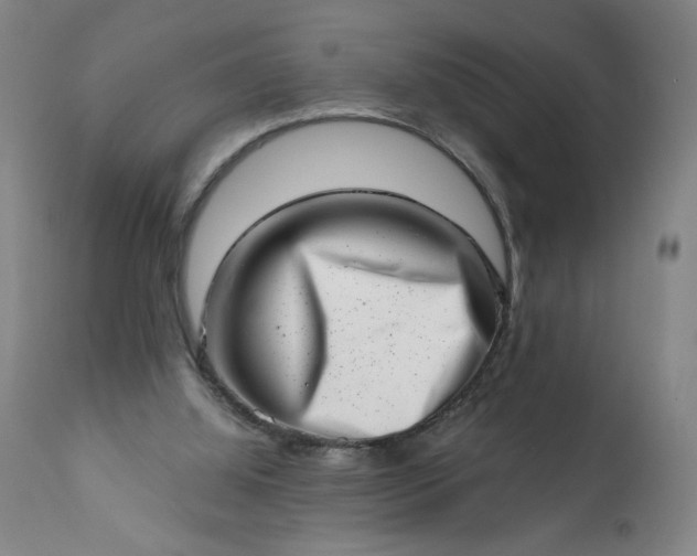 X0000113200060200909241409