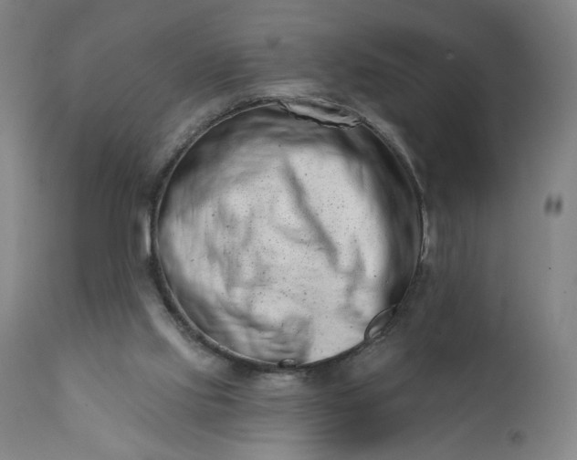 X0000113200061200909241409