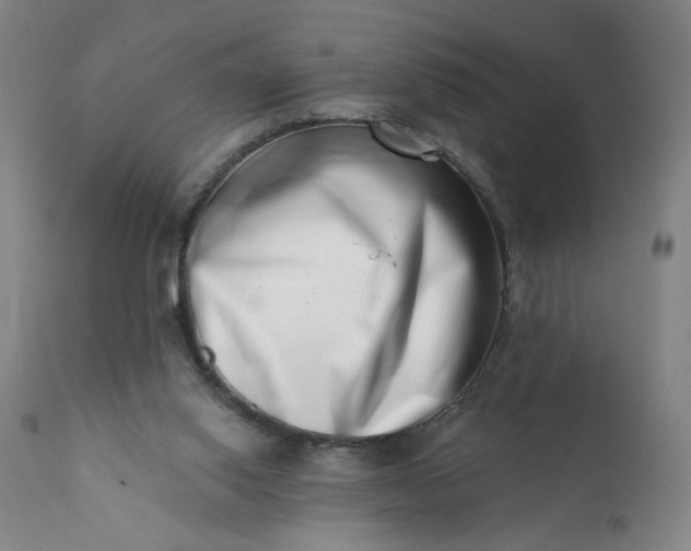 X0000113200062200909241409