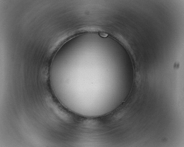 X0000113200063200909241409