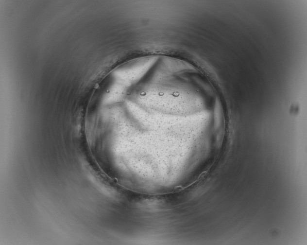 X0000113200065200909241409