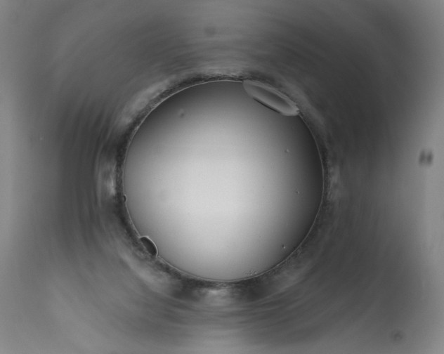 X0000113200068200909241409