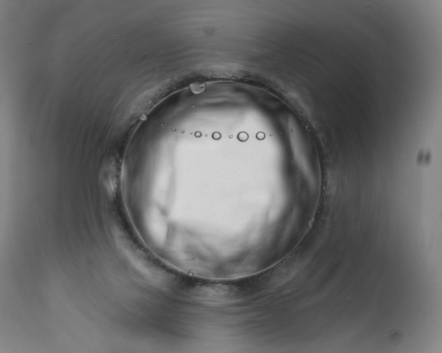 X0000113200069200909241409