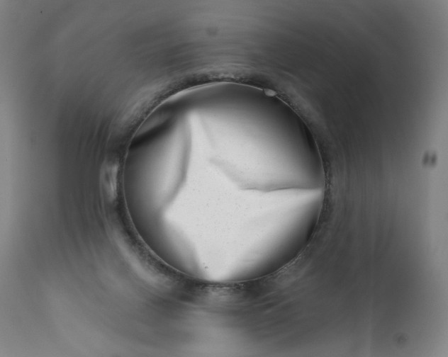 X0000113200070200909241409