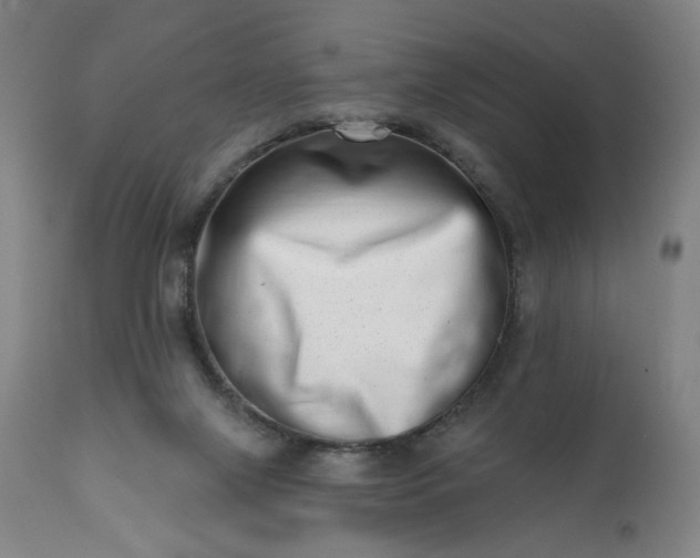 X0000113200071200909241409