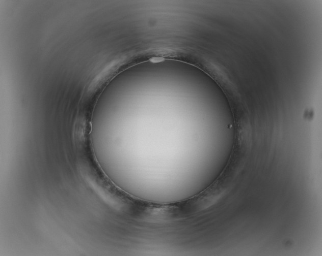 X0000113200072200909241409