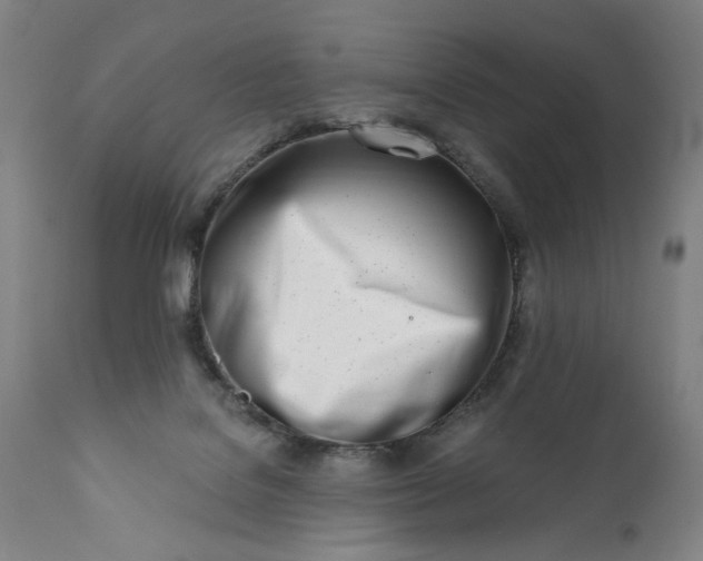 X0000113200076200909241409