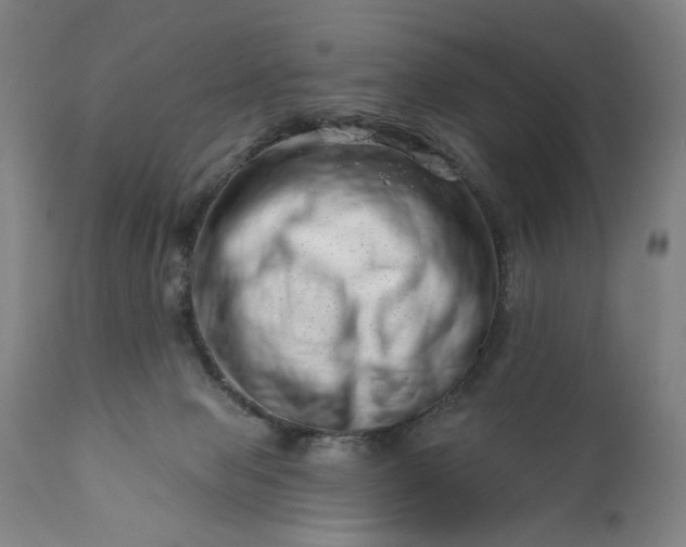 X0000113200077200909241409