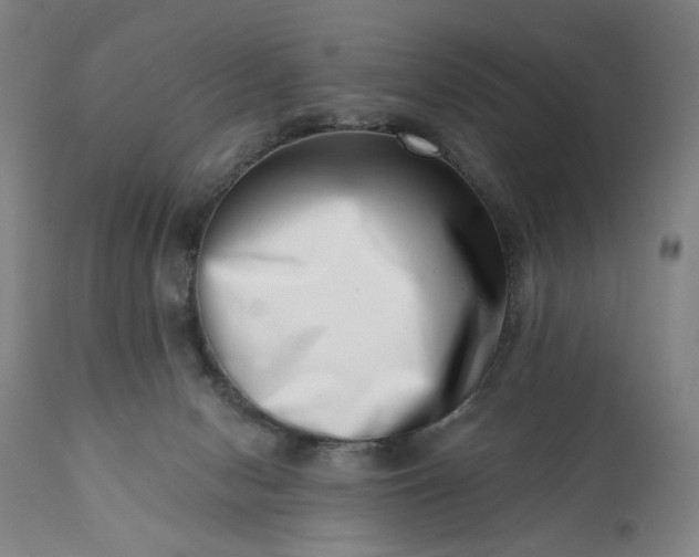 X0000113200078200909241409