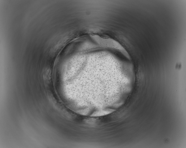 X0000113200079200909241409