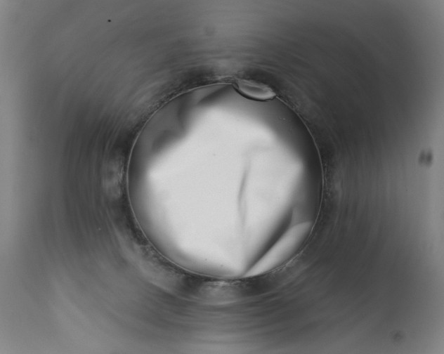 X0000113200082200909241409