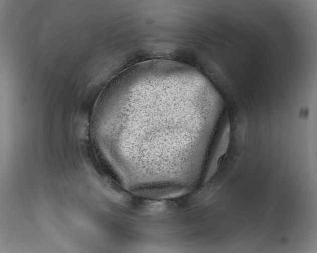 X0000113200083200909241409