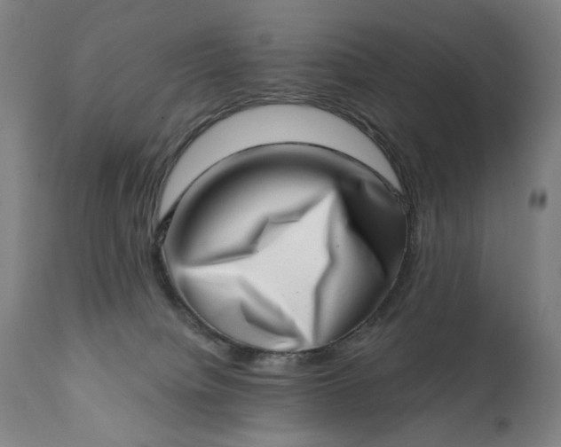 X0000113200084200909241409