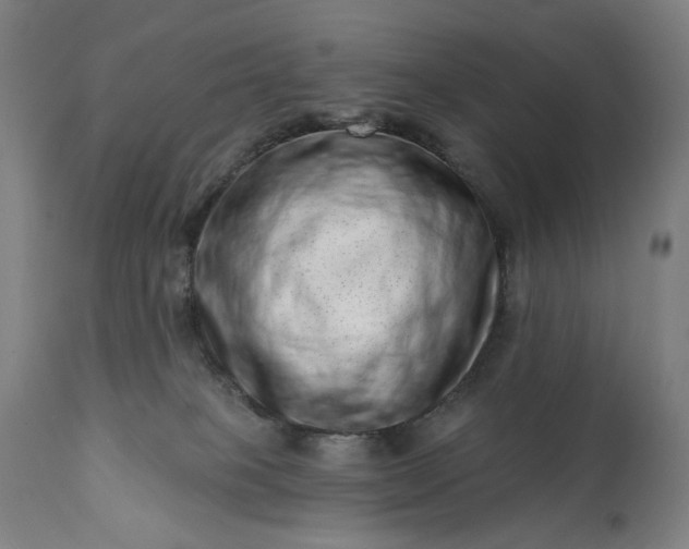 X0000113200085200909241409