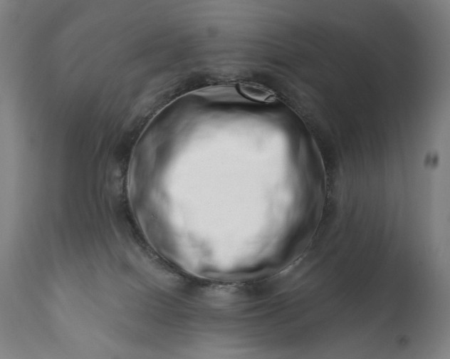 X0000113200086200909241409