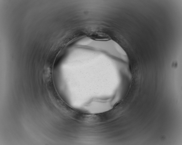 X0000113200087200909241409