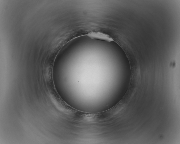 X0000113200088200909241409