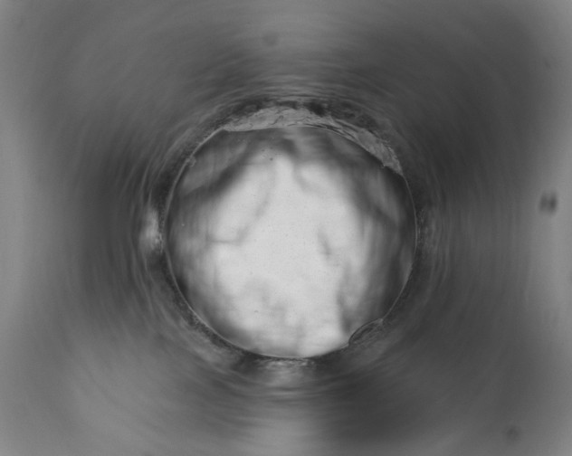 X0000113200089200909241409