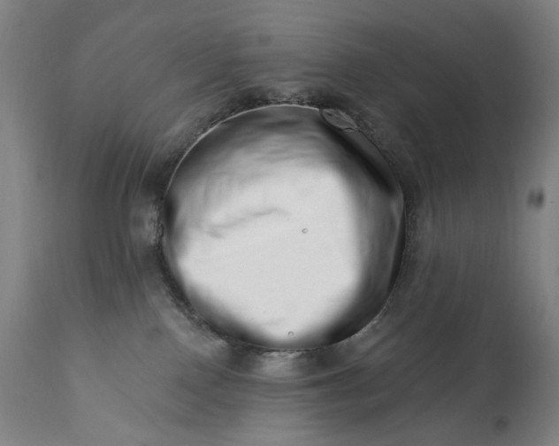 X0000113200090200909241409