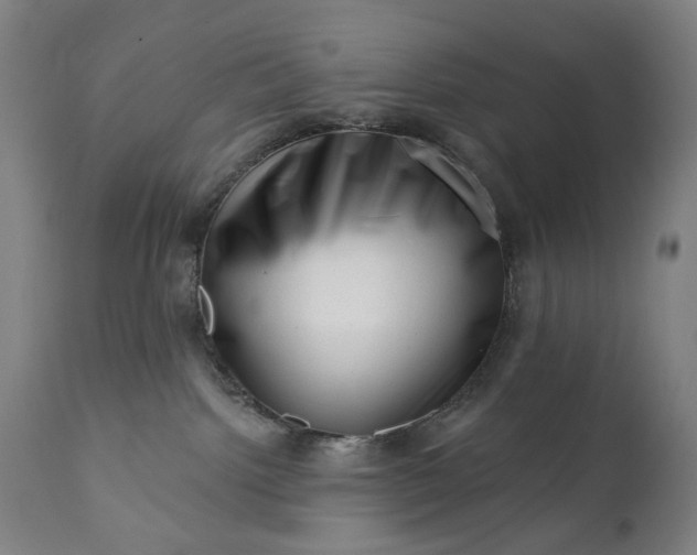 X0000113200092200909241409