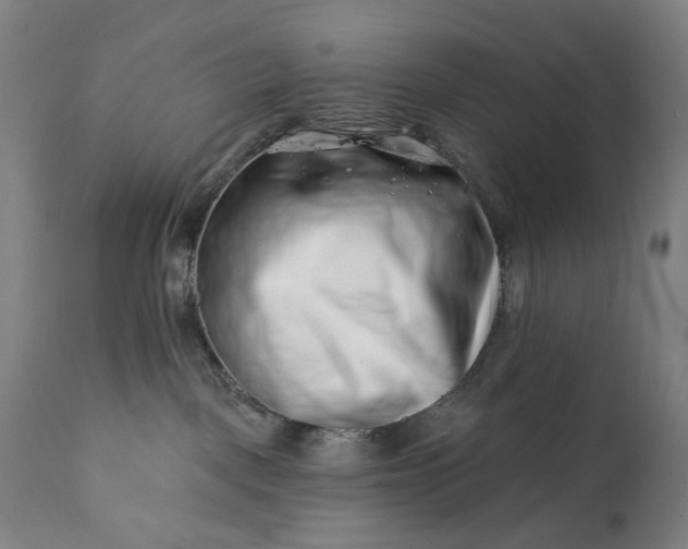 X0000113200093200909241409