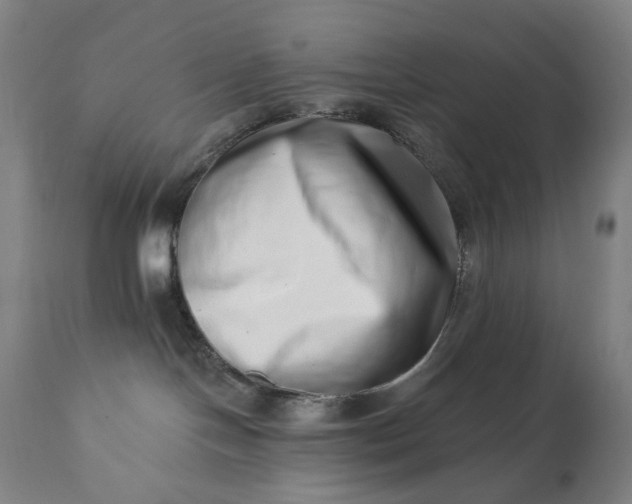 X0000113200094200909241409