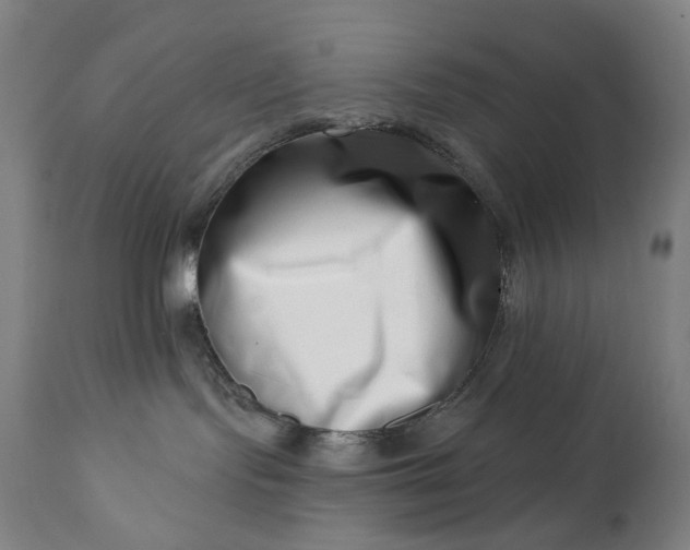 X0000113200095200909241409