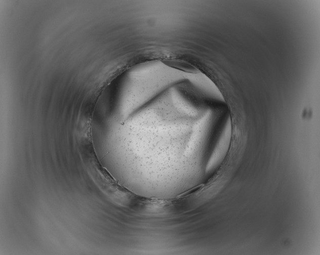 X0000113200096200909241409