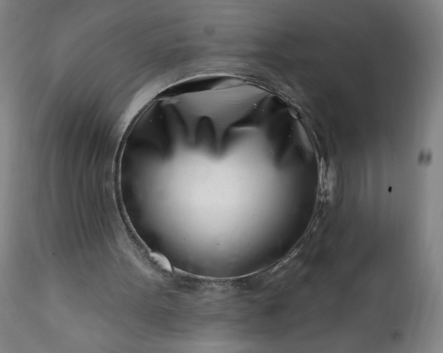 X0000113200099200909241409