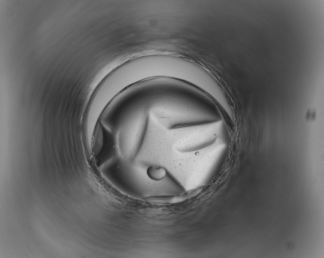 X0000113200100200909241409