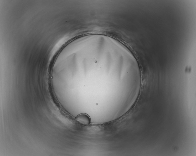 X0000113200102200909241409