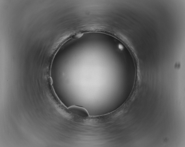 X0000113200105200909241409