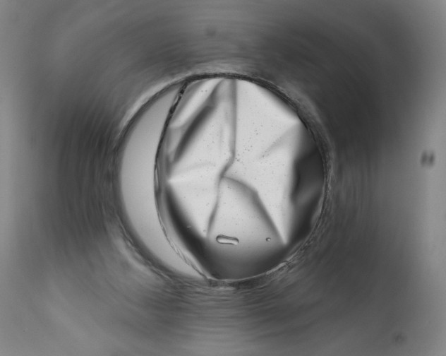 X0000113200108200909241408