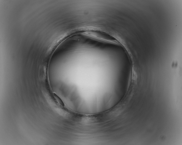 X0000113200109200909241408