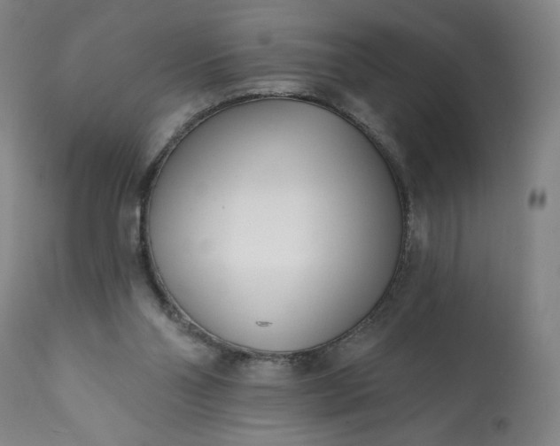 X0000113200110200909241408