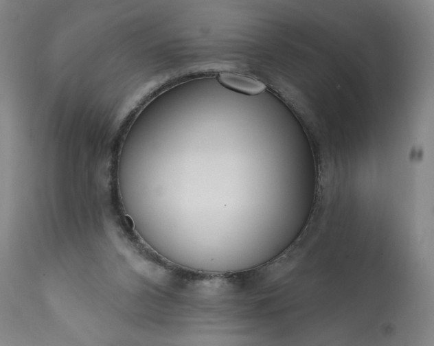 X0000113200112200909241408