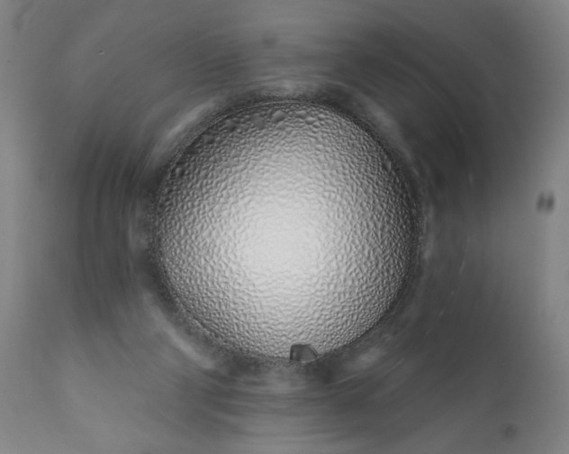 X0000113200114200909241408