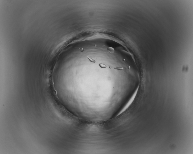 X0000113200115200909241408