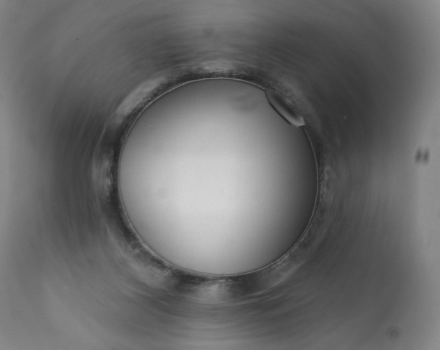 X0000113200116200909241408