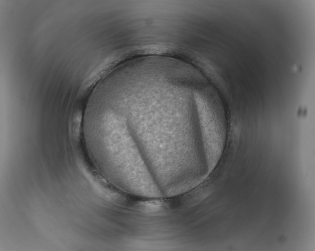 X0000113200118200909241408