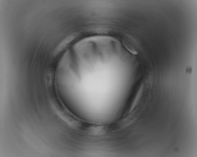 X0000113200120200909241408