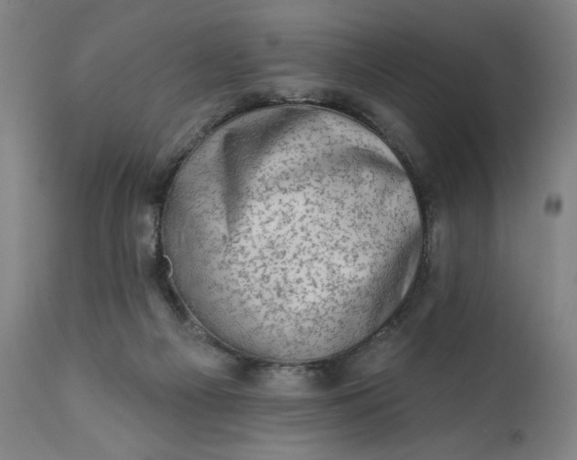 X0000113200121200909241408